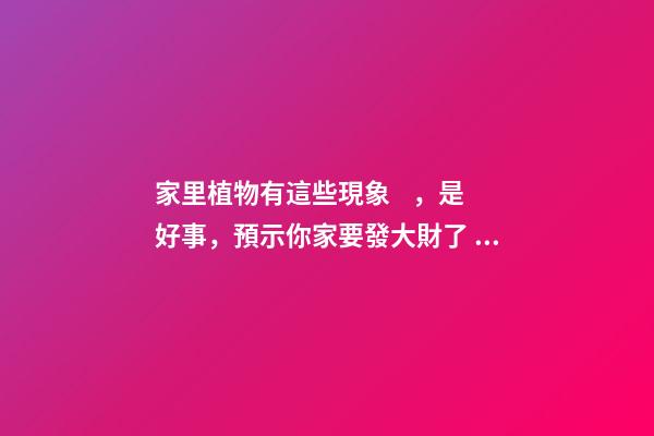 家里植物有這些現象，是好事，預示你家要發大財了！